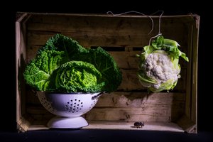 Rustic Vegetable Still Life