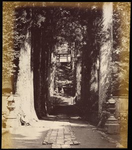 Avenue of Trees Leading to a Temple in Hakoni by Felice Beato