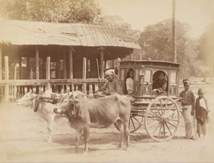 Burmese Public Carriage