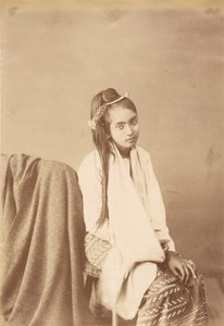 Burmese Type Silk Sitter