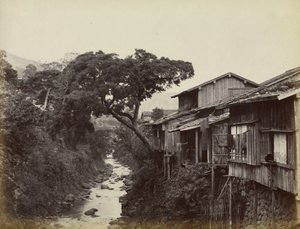 Native Town of Nagasaki