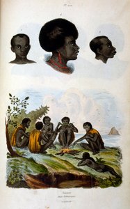 Anthropological Illustration Depicting the Ethiopian Race