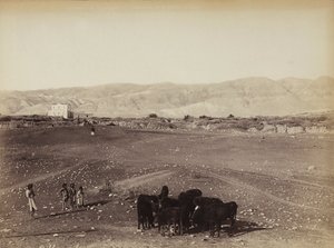 A Rocky Area with Children and Grazing Animals, Egypt by Félix Bonfils