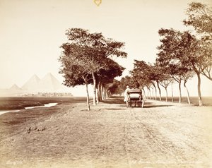 Cairo, Avenue of the Pyramids #98