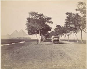 Cairo. Avenue of Pyramids by Félix Bonfils