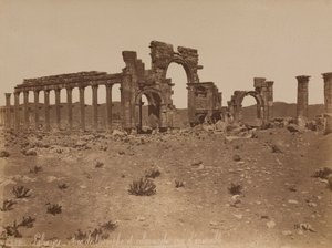 Palmyra: overview of the Triumphal Arch and Colonnade by Félix Bonfils