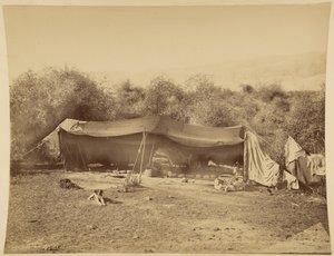 Tent of Nomadic Bedouins, Palestine by Félix Bonfils