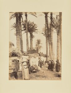 Arab Village on the Banks of the Nile by Félix Bonfils