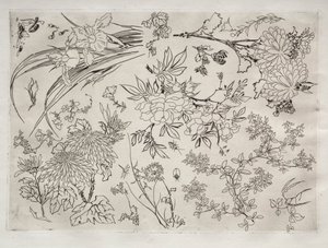 Dinner Service (Rousseau service): Flowers (no. 23) by Felix Bracquemond