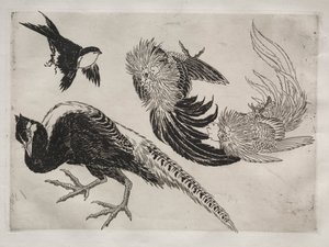 Dinner Service (Rousseau service): Pheasants and Bird (no. 18)
