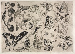 Dinner Service Rousseau service: Butterflies and Fish no. 16, 1866 by Felix Bracquemond