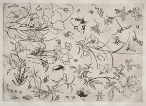 Dinner Service Rousseau Service: Flowers and Insects No. 15 by Felix Bracquemond