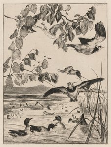 Lapwings and Teals by Felix Bracquemond