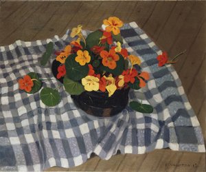 Bowl of Nasturtiums