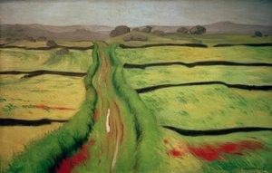 Path in the Moorland