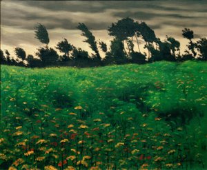 The Flowering Field