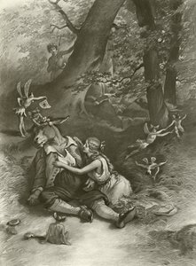 A Midsummer Night