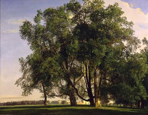 Prater Landscape by Ferdinand Georg Waldmüller