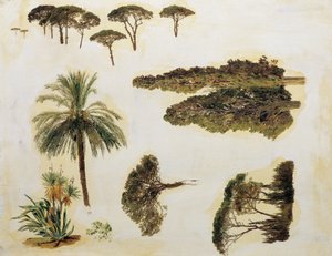 Tree Studies from Rome by Ferdinand Georg Waldmuller