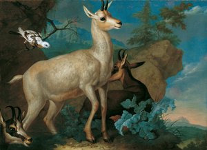 Three Mountain Goats and a Blackbird