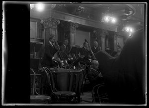 Bass player of the Viennese member of a philharmonic orchestra