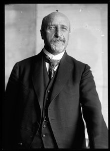 Picture of Karl Seitz (1869-1950)