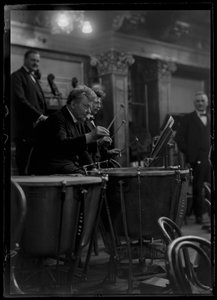 Striking mechanism of the Viennese member of a philharmonic orchestra