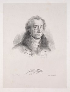 Illustrations for Faust: Frontispiece - Portrait of Johann Wolfgang von Goethe, 1828 by Ferdinand Victor Eugene Delacroix