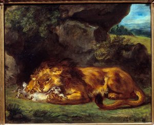 Lion beating a rabbit
