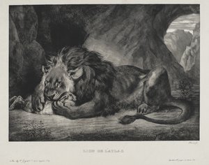 Atlas Lion, 1829