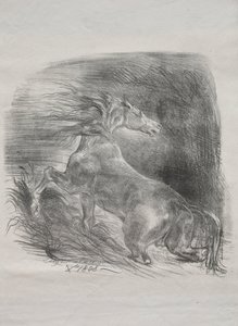 The Wild Horse, or Frightened Horse Leaving the Water, 1828 by Ferdinand Victor Eugene Delacroix