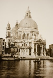Untitled (41)