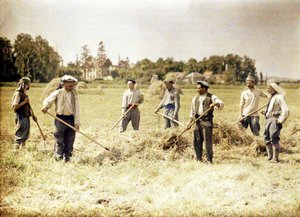 Eight Members of the 143rd Infantry Division of the French Army Making Hay, Soissons, Aisne, France, 1917
