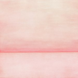 Soft Pink Horizon by Fernando Vieira