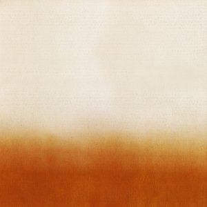 Warm Ombre Canvas by Fernando Vieira