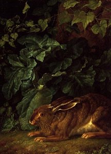 A Hare in Undergrowth by Filippo Hackert