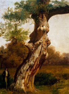 The Tree