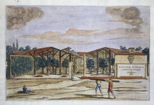 A Covered Orchard, from Hesperides by Giovanni Battista Ferrari, engraved by Camillo Congio by Filippo after Gagliardi