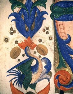 Missal 515 1r Zoomorphic foliate border, detail from a Choir Book executed before 1449 (detail) by Filippo di Matteo Torelli