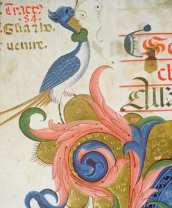 Fantastical Bird with Human Head (detail) by Filippo di Matteo Torelli