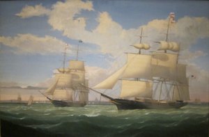 The Ships 