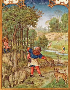 The Month of November: Harvesting Acorns for the Pigs and Hunting, from the Breviarium Grimani