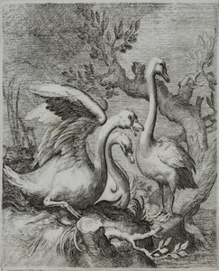 Old Master Engraving by Flemish School