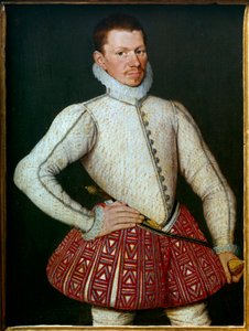 Portrait of a gentleman by Flemish School