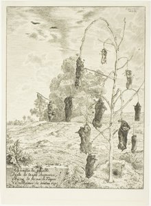 Moles by Félix Henri Bracquemond