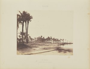 El-Nâcerah. Date Palms, Banks of the Nile and Boats