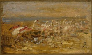 Flamingos, 2nd Half of the 19th Century