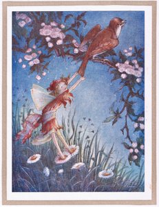 She pulled the tail of the Nightingale