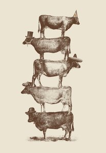 Cow Cow Nuts by Florent Bodart