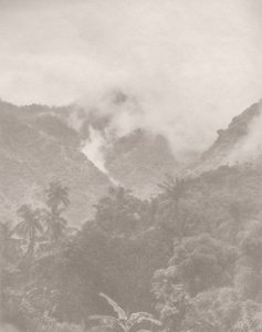 Foggy Jungle 3, 2024